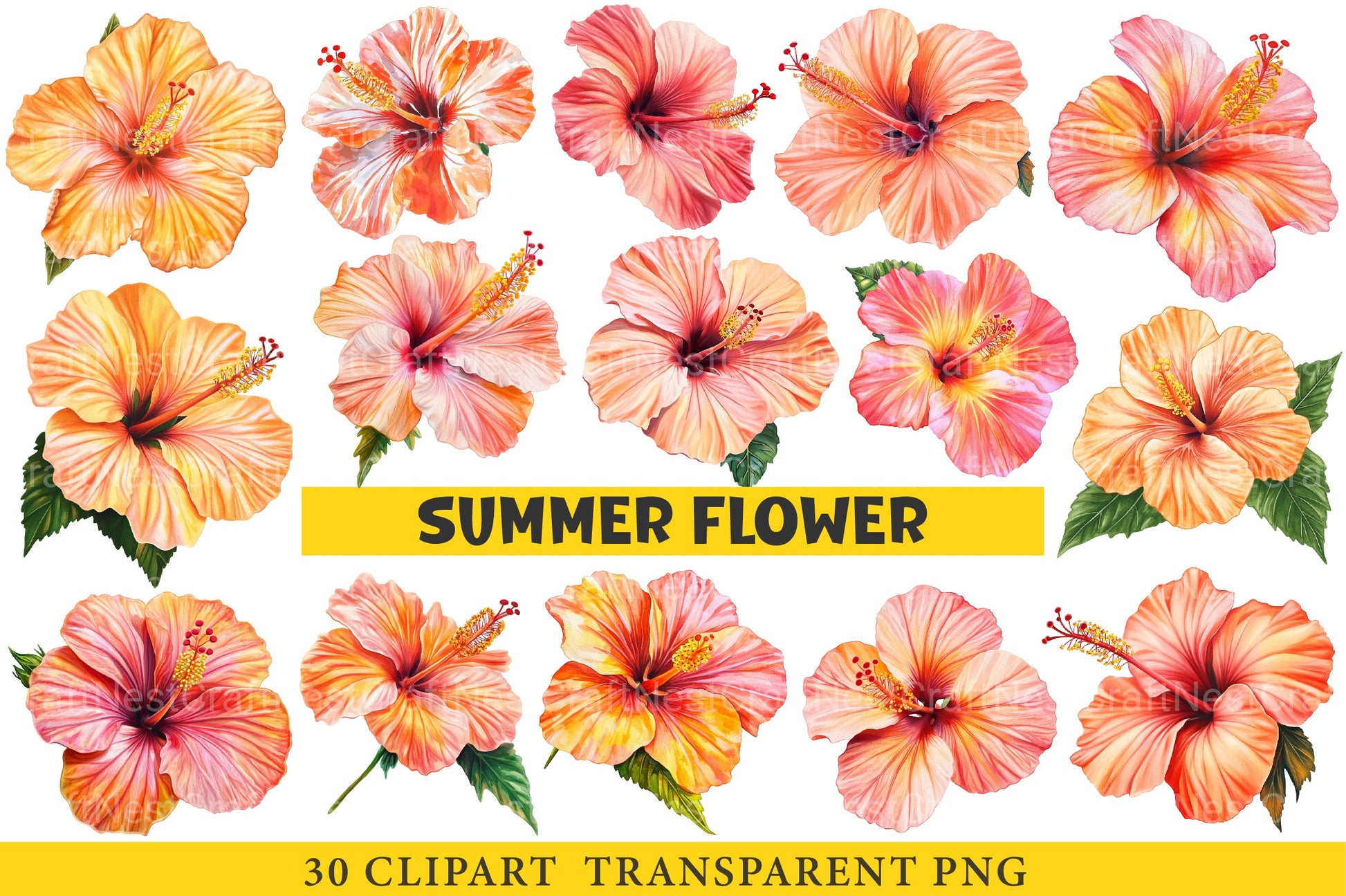 Summer Flower Clipart Bundle - CraftNest - Digital Crafting and Art