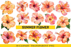 Summer Flower Clipart Bundle - CraftNest - Digital Crafting and Art