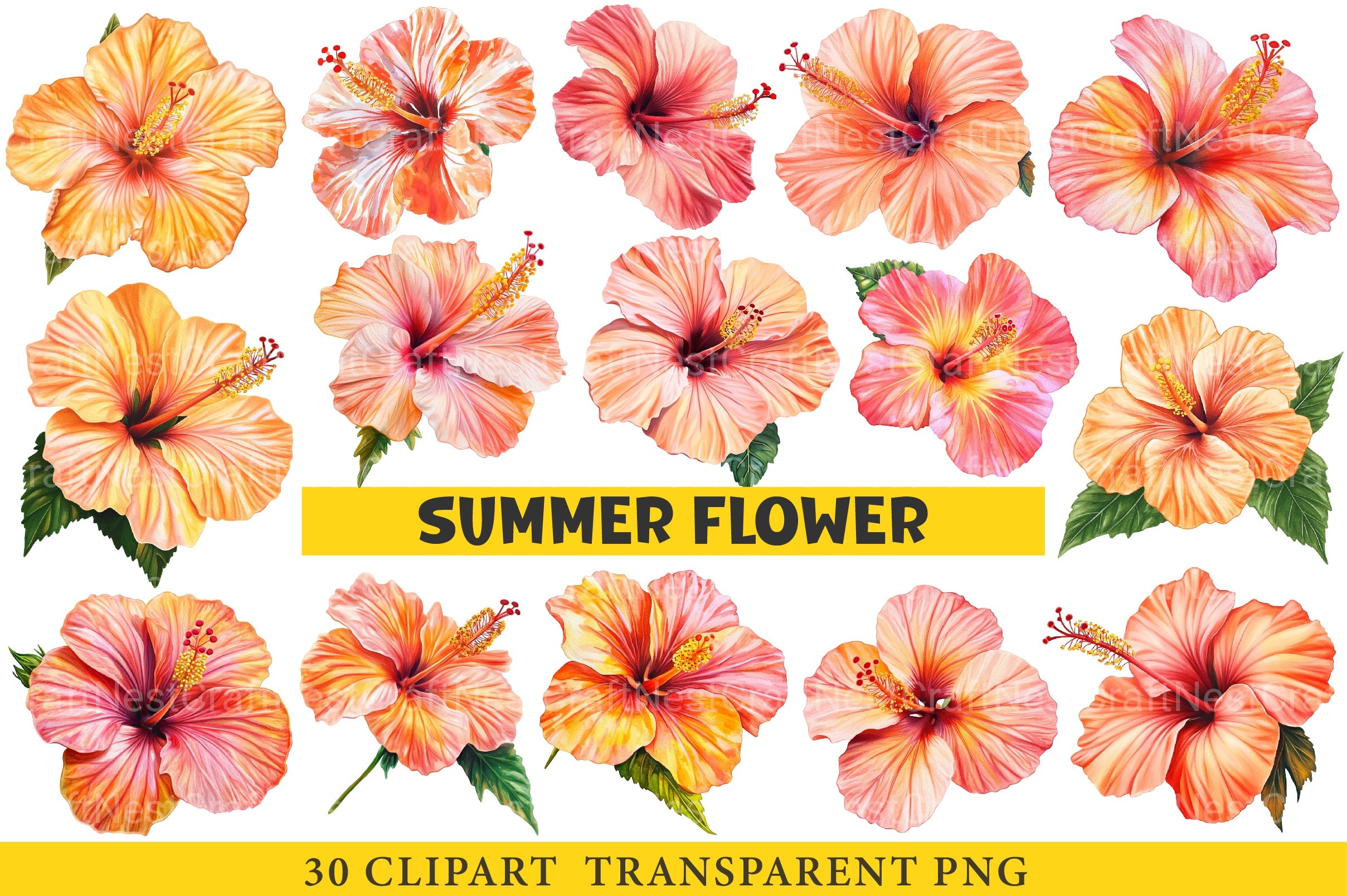 Summer Flower Clipart Bundle - CraftNest - Digital Crafting and Art