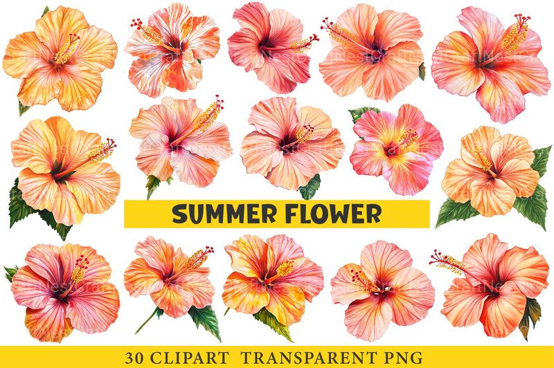 Summer Flower Clipart Bundle - CraftNest - Digital Crafting and Art