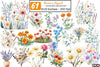 Flowers Clipart Bundle for Creative Projects