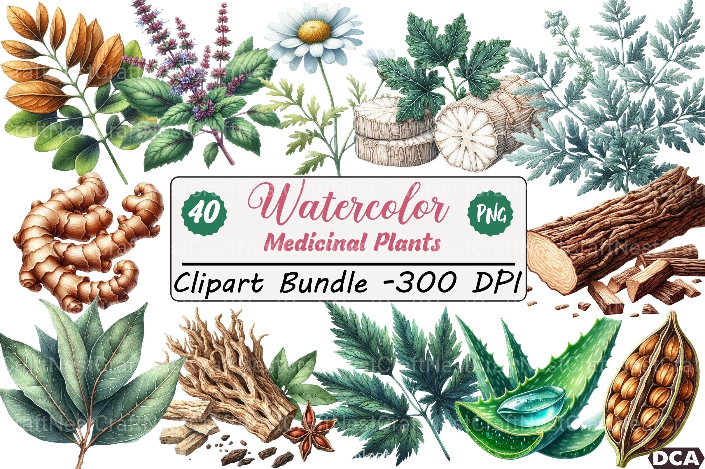 Medicinal Plants Clipart Bundle 1 - CraftNest - Digital Crafting and Art