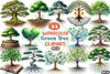 Green Tree with Roots Clipart Bundle