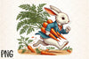 Easter Rabbit & Carrot Clipart Bundle