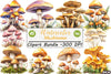 Mushroom Clipart Bundle 2