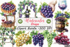 Grape Clipart Bundle 8