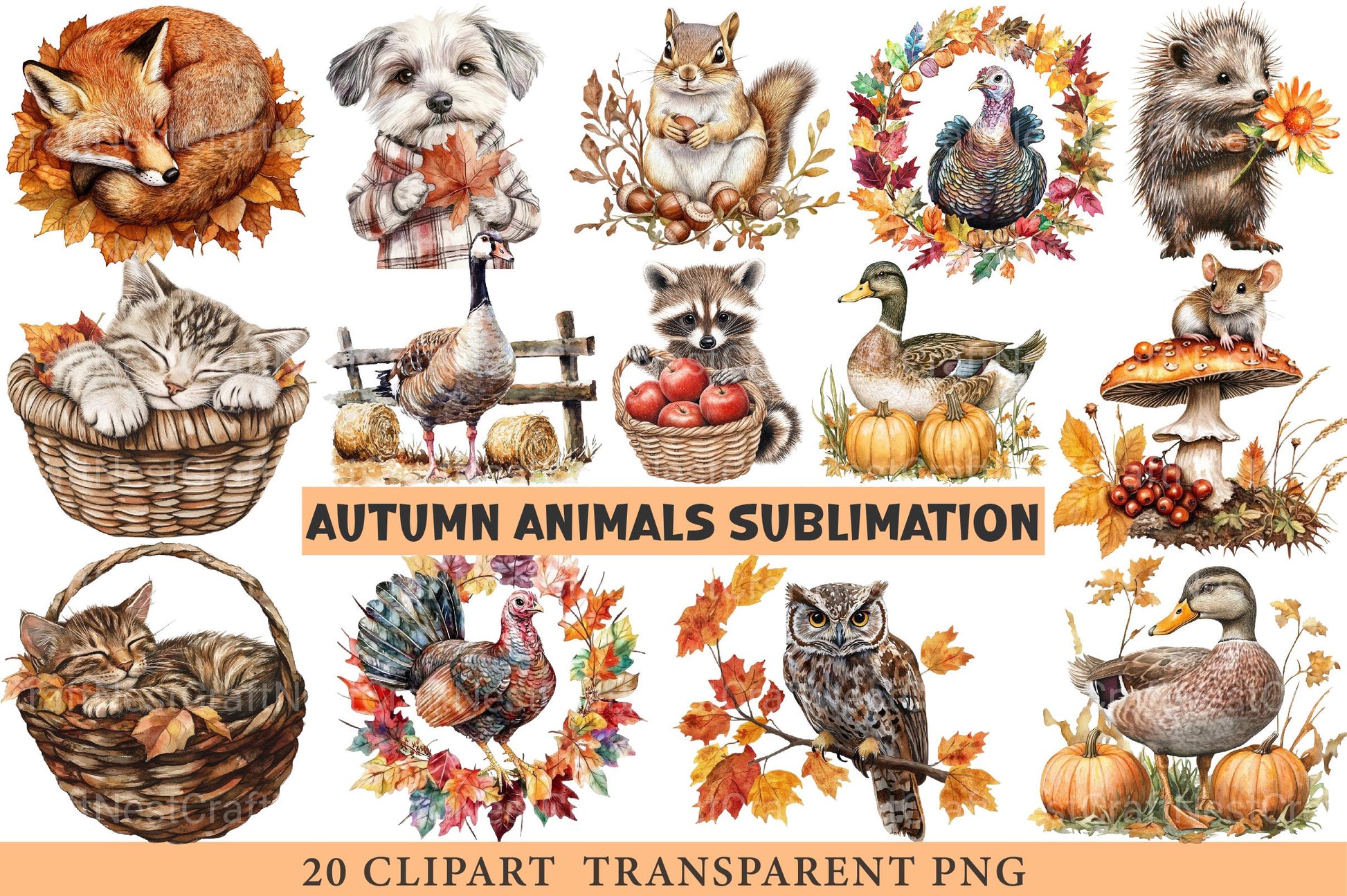 Autumn Animals Clipart - CraftNest - Digital Crafting and Art