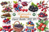 Berries Clipart Bundle