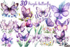 Purple Spring Butterfly Clipart Bundle