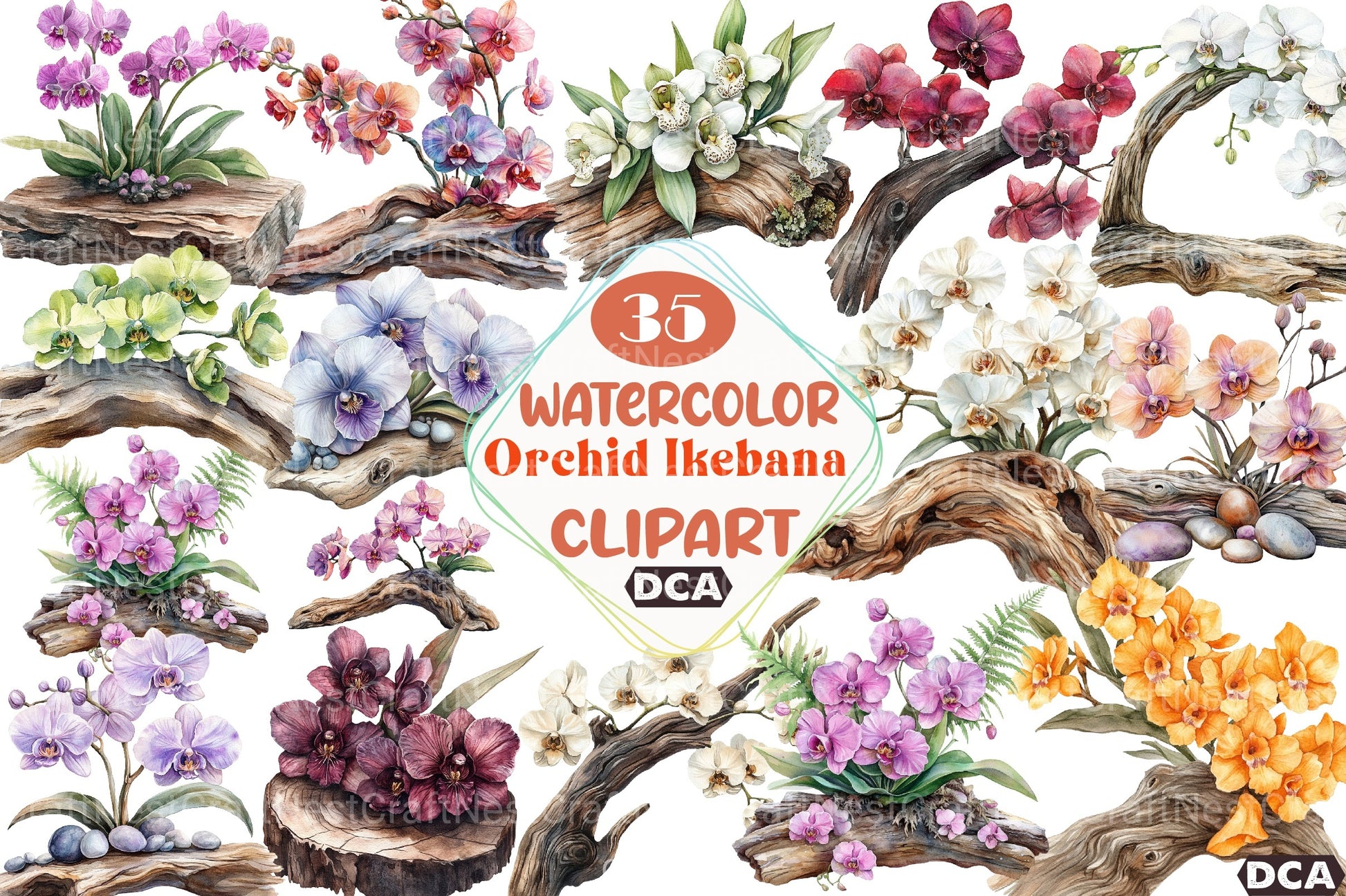Exclusive Orchid Ikebana on Driftwood Clipart Bundle - CraftNest - Digital Crafting and Art