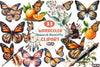 Monarch Butterfly Clipart Bundle 11