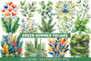 Green Summer Foliage Clipart
