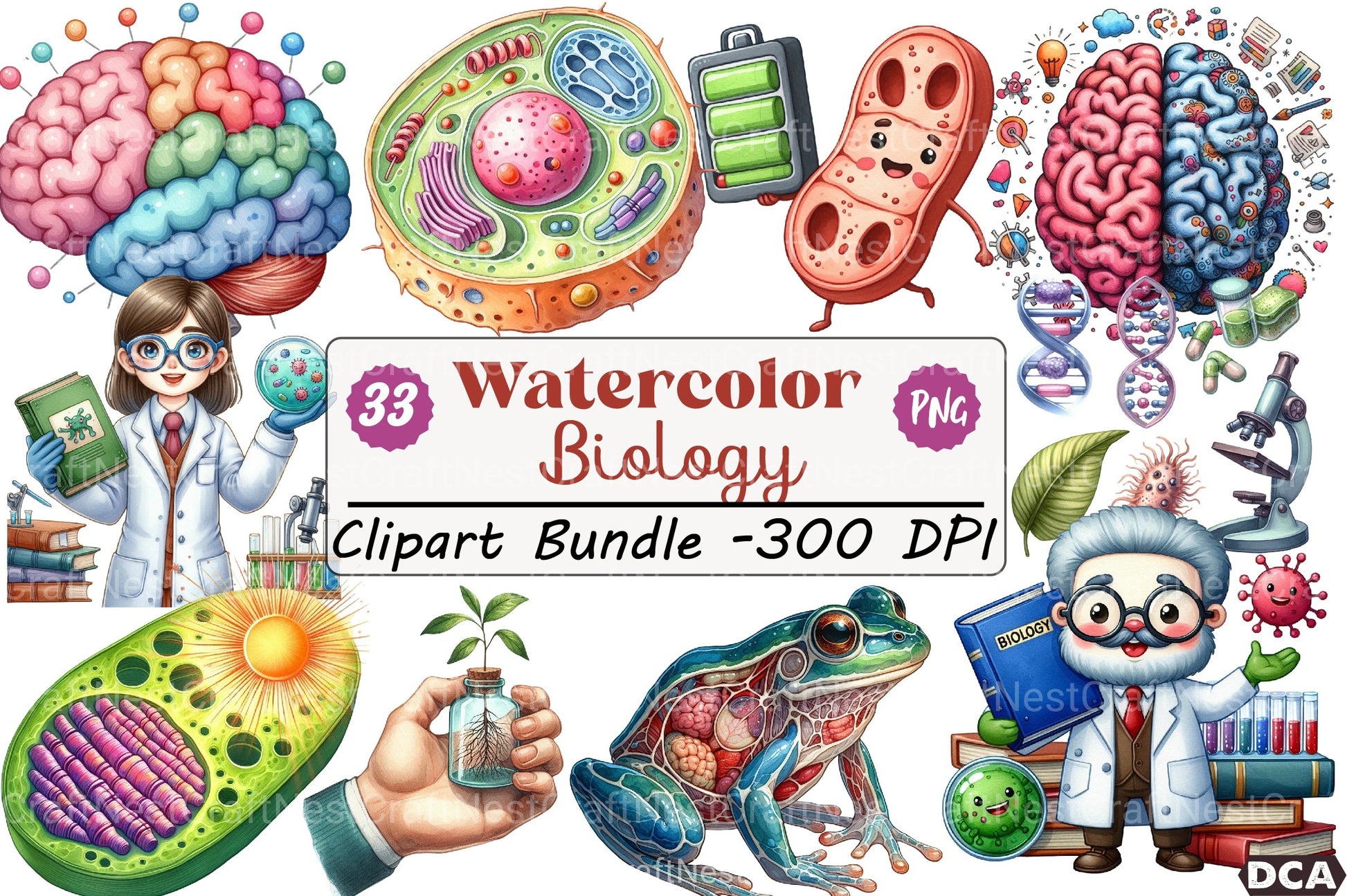 Biology Clipart Bundle for Educational Use - CraftNest - Digital Crafting and Art