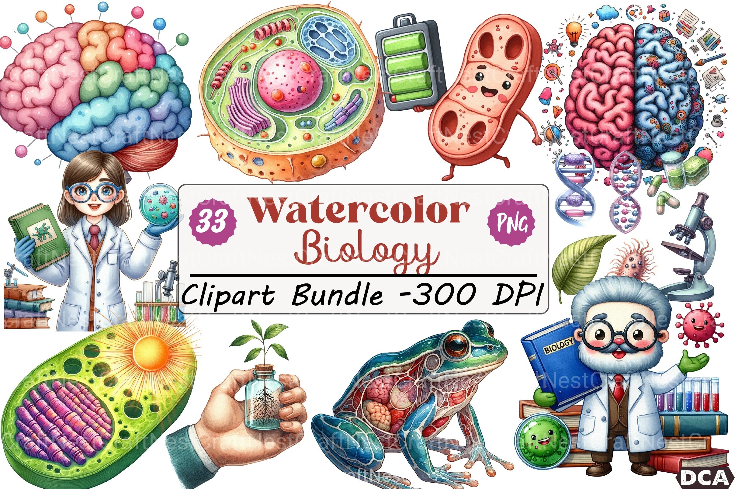 Biology Clipart Bundle for Educational Use - CraftNest - Digital Crafting and Art