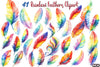 Rainbow Feathers Clipart Bundle 88