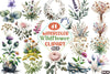 Botanical Forest Wildflower Clipart Bundle 1