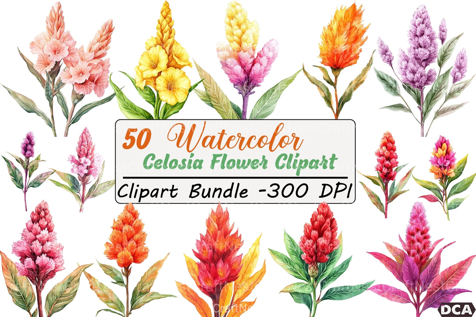 Celosia Flower Clipart Bundle 11 - CraftNest - Digital Crafting and Art