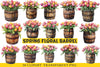 Spring Floral Barrel Clipart Bundle