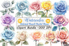 Colored Pencil Pastel Roses Clipart Bundle