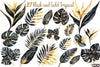 Black and Gold Tropical Clipart Bundle
