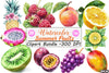 Summer Fruits Clipart Bundle 55