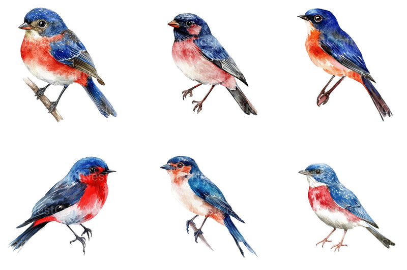 4th of July Bird Sublimation Clipart - CraftNest - Digital Crafting and Art