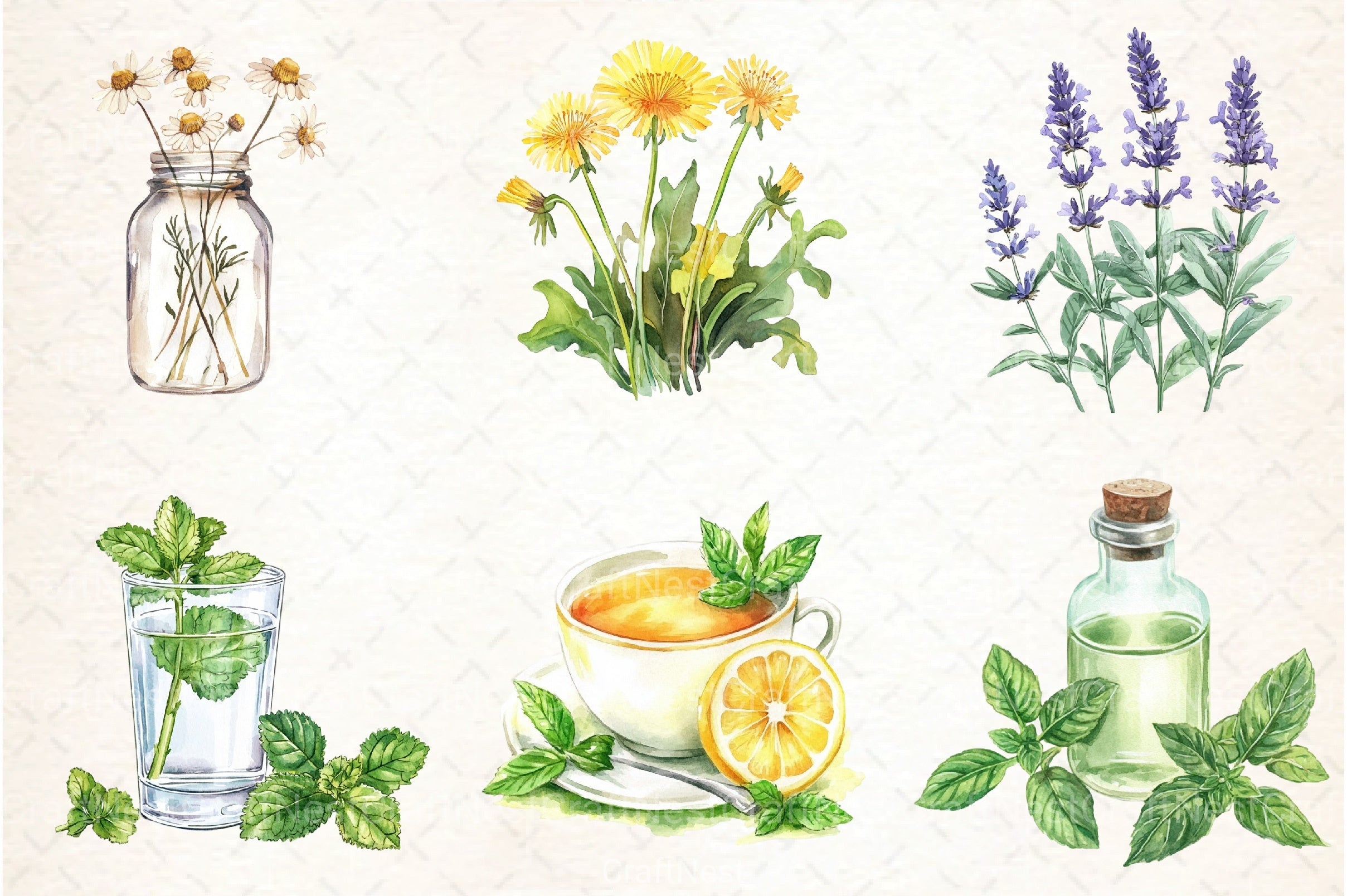 Natural Remedies Clipart Bundle 6 - CraftNest - Digital Crafting and Art