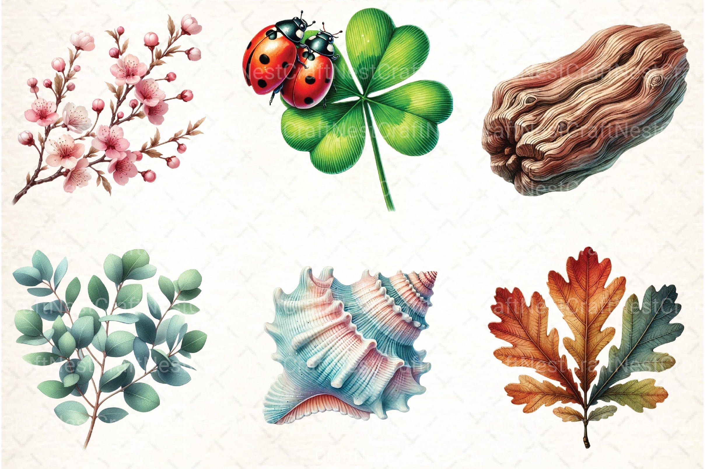Nature Elements Clipart Bundle - CraftNest - Digital Crafting and Art