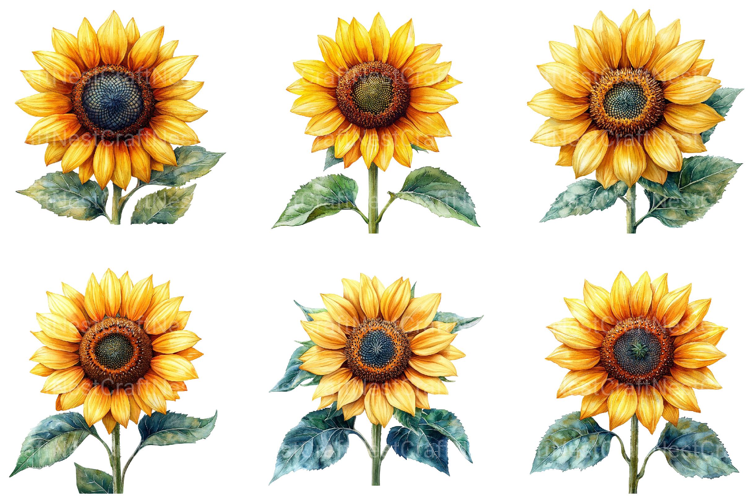 4th of July Sunflower Clipart 2 - CraftNest - Digital Crafting and Art
