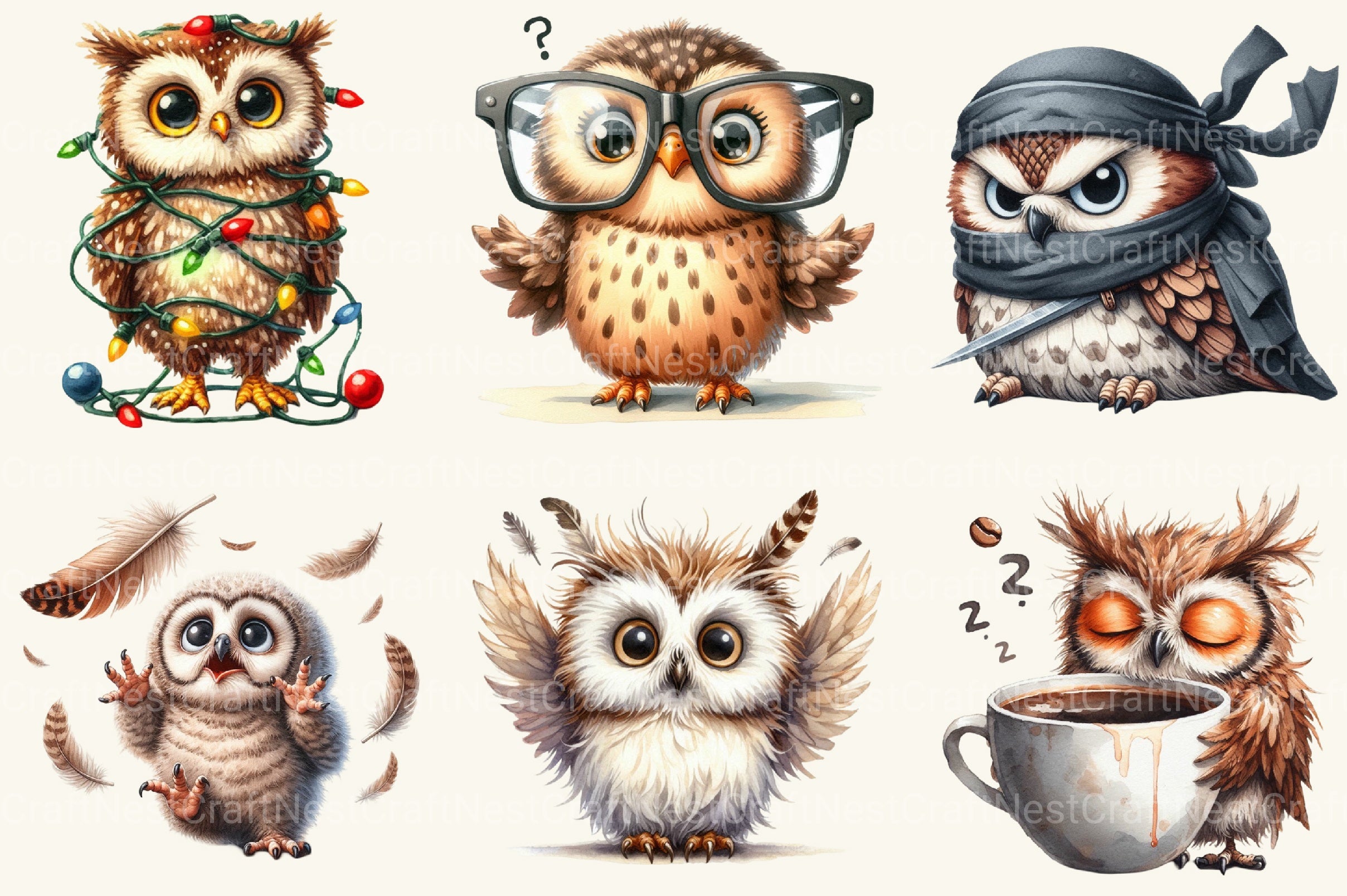 Funny Owl Clipart Bundle - CraftNest - Digital Crafting and Art