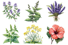 Medicinal Plants Clipart Bundle - CraftNest - Digital Crafting and Art