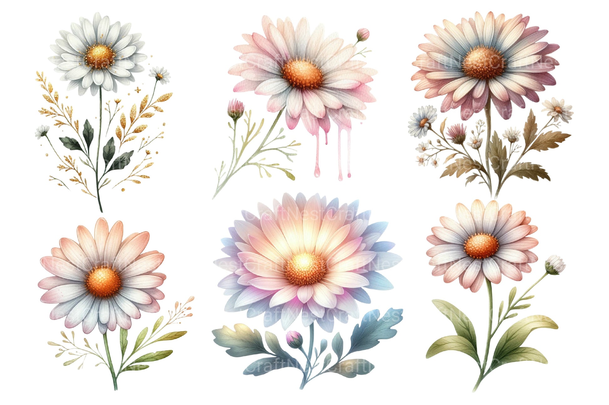 Daisy Dream Flower Clipart Bundle - CraftNest - Digital Crafting and Art