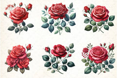 Red Roses Clipart Bundle - CraftNest - Digital Crafting and Art