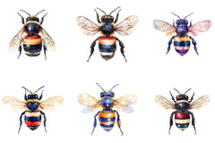 4th of July Patriotic Bee Clipart - CraftNest - Digital Crafting and Art