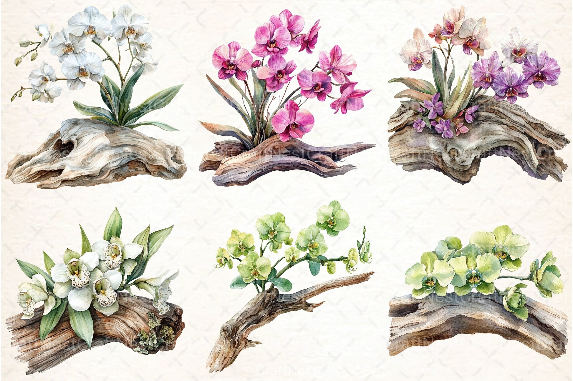 Exclusive Orchid Ikebana on Driftwood Clipart Bundle - CraftNest - Digital Crafting and Art