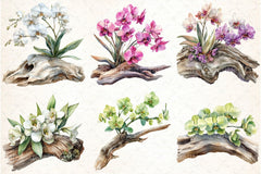 Exclusive Orchid Ikebana on Driftwood Clipart Bundle - CraftNest - Digital Crafting and Art