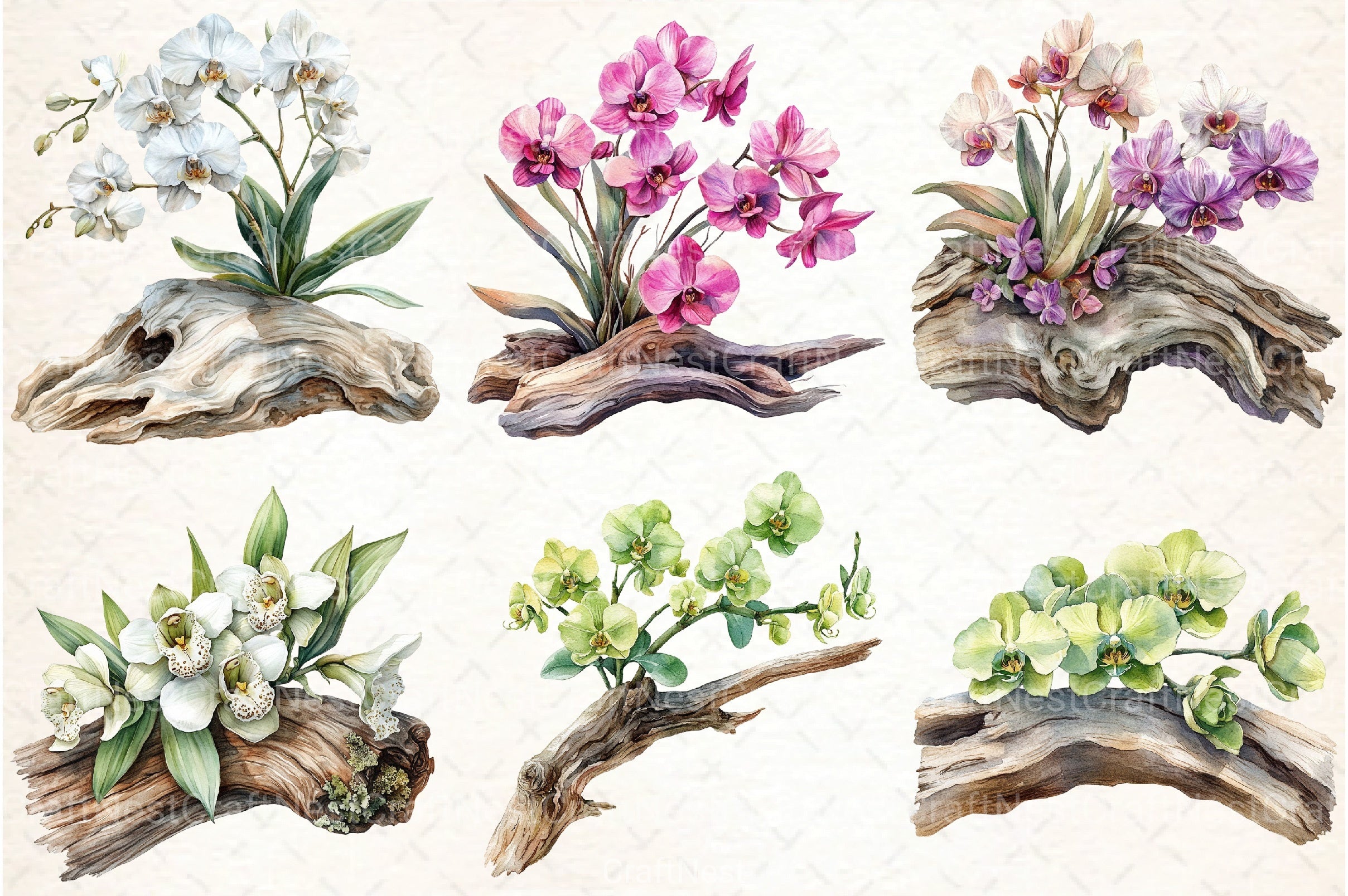 Exclusive Orchid Ikebana on Driftwood Clipart Bundle - CraftNest - Digital Crafting and Art