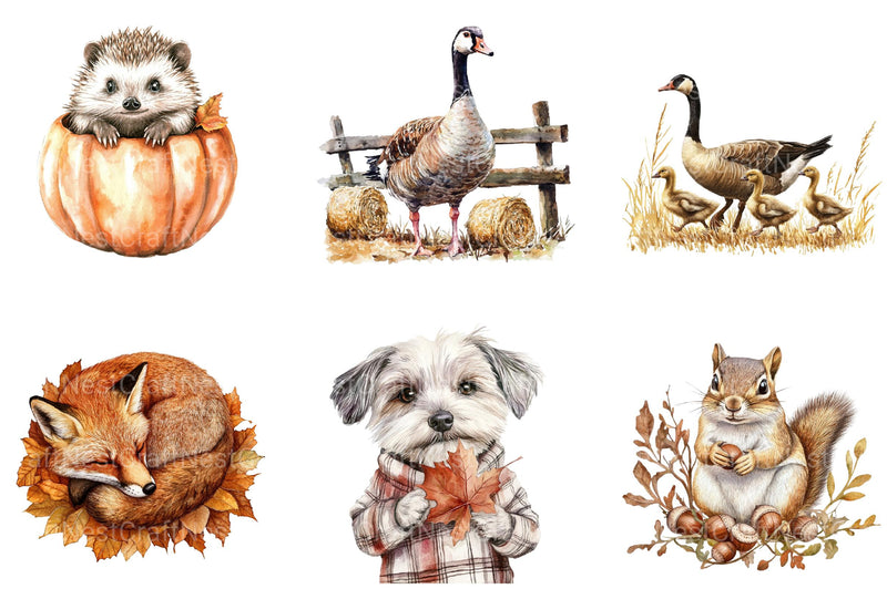 Autumn Animals Clipart - CraftNest - Digital Crafting and Art