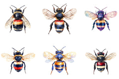 4th Of July Patriotic Bee Clipart Bundle - CraftNest - Digital Crafting and Art