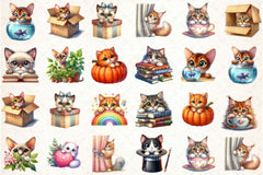 Peeking Cat Breed Clipart Bundle - CraftNest - Digital Crafting and Art
