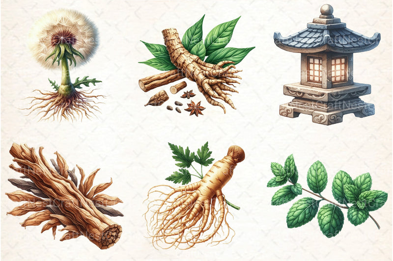 Medicinal Plants Clipart Bundle 1 - CraftNest - Digital Crafting and Art