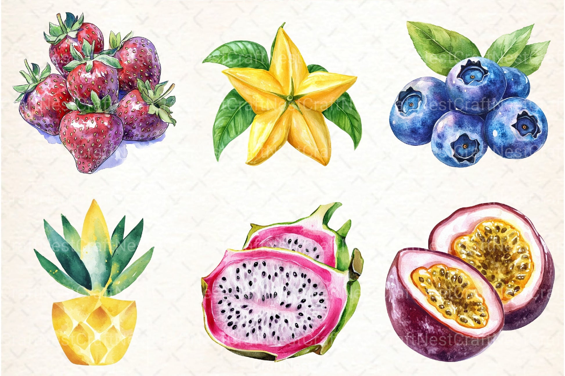 Summer Fruits Clipart Bundle 55 - CraftNest - Digital Crafting and Art