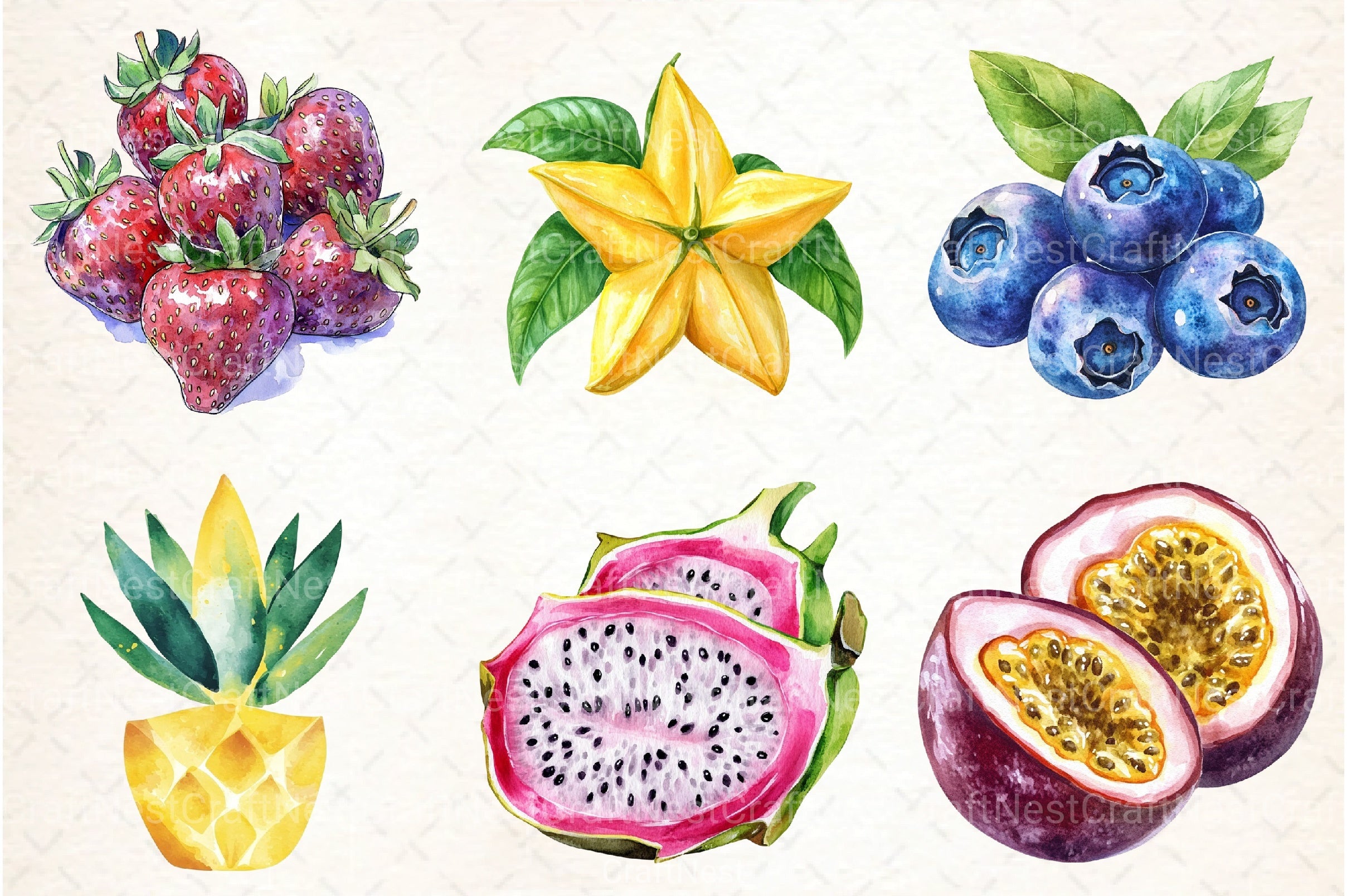 Summer Fruits Clipart Bundle 55 - CraftNest - Digital Crafting and Art