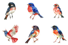 4th of July Bird Sublimation Clipart - CraftNest - Digital Crafting and Art