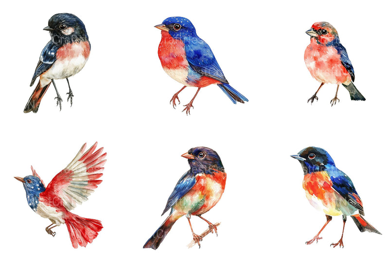 4th of July Bird Sublimation Clipart - CraftNest - Digital Crafting and Art