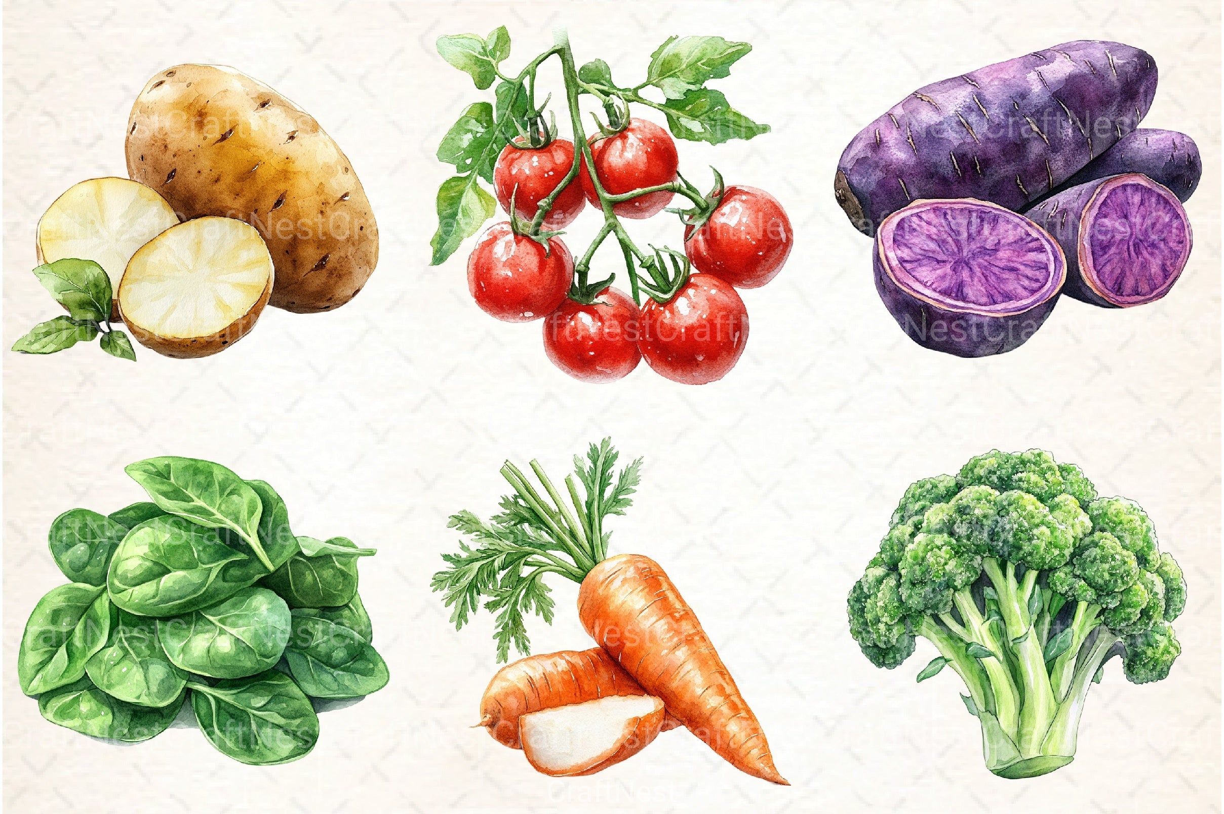 Vegetables Clipart Bundle 99 - CraftNest - Digital Crafting and Art