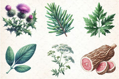 Medicinal Plants Clipart Bundle 1 - CraftNest - Digital Crafting and Art