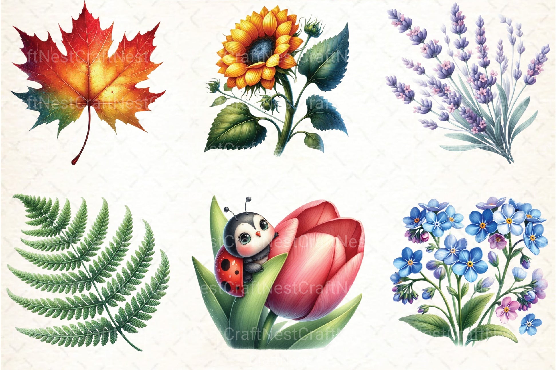 Nature Elements Clipart Bundle - CraftNest - Digital Crafting and Art