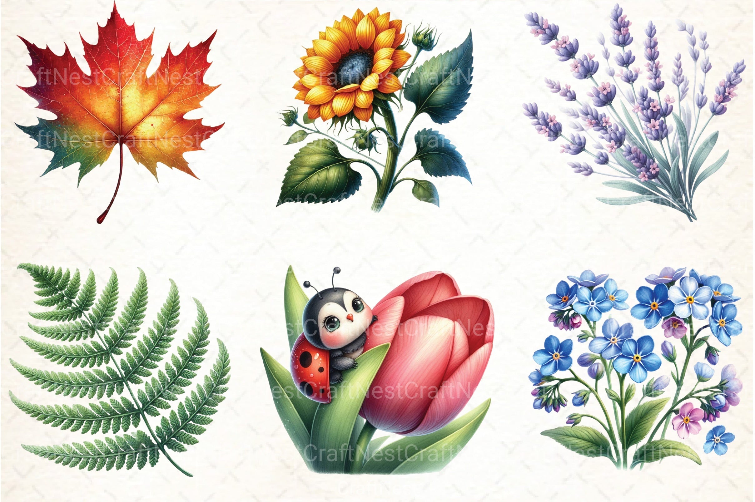 Nature Elements Clipart Bundle - CraftNest - Digital Crafting and Art