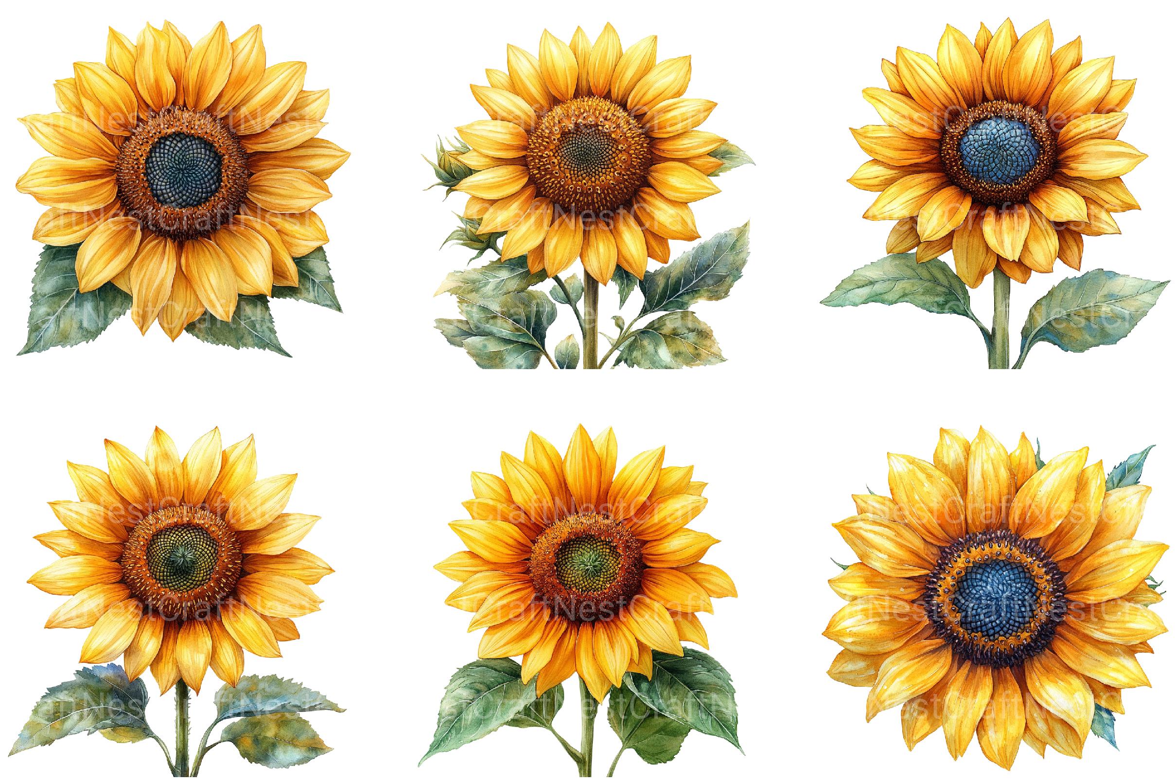 4th of July Sunflower Clipart 2 - CraftNest - Digital Crafting and Art